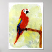 Poster Peinture colorée de perroquet Ara (Devant)