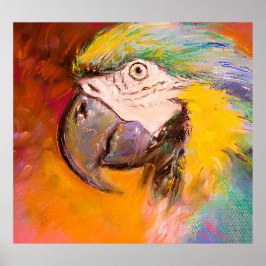 Poster Peinture colorée de perroquet pastel (Devant)