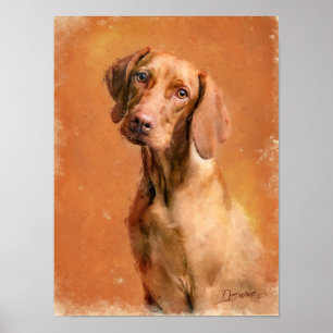 Poster Peinture d'art de Chien Vizsla en Hongrie