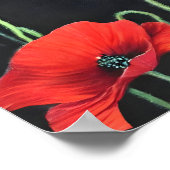 Poster Peinture d'art Red Poppies (Coin)