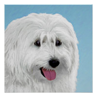 Peinture de Berger de la Plaine Polonaise - Chien