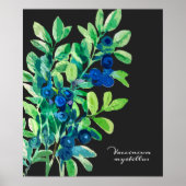 Poster Peinture de bleuet (Devant)