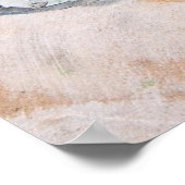 Poster Peinture de chats (Coin)