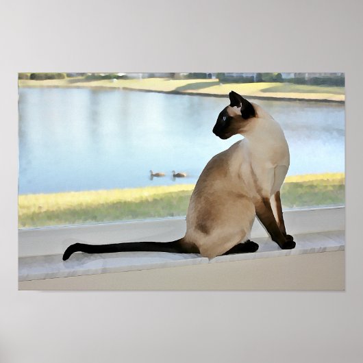 Poster Peinture de chats de Siamese paisible (Devant)