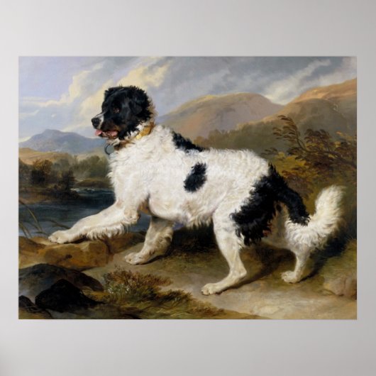 Poster Peinture de chien de Terre-Neuve (Devant)