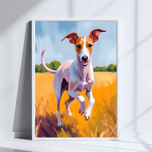 Poster Peinture de chien Lévrier Italien