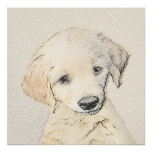 Poster Peinture de chiot d'or Retriever - Art de chien or