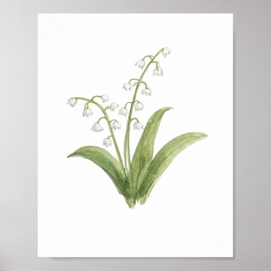 Poster Peinture de Fleur de Muguet (Devant)
