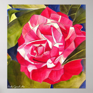 Poster Peinture de fleurs rose Camellia