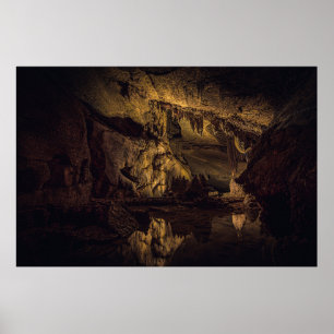 POSTER PEINTURE DE GROTTE BROWN ET NOIRE
