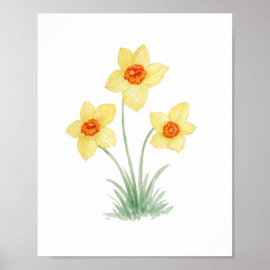 Poster Peinture de jardin de fleurs de printemps jonquill (Devant)
