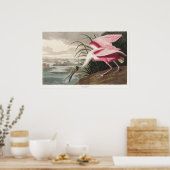 Poster Peinture de la faune de l'audubon Spoonbill Roseat (Cuisine)