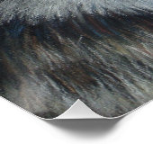 Poster peinture de la faune du loup gris (Coin)