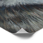 Poster peinture de la faune du loup gris (Coin)