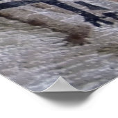 POSTER PEINTURE DE LA GROTTE PRÉHISTORIQUE (Coin)