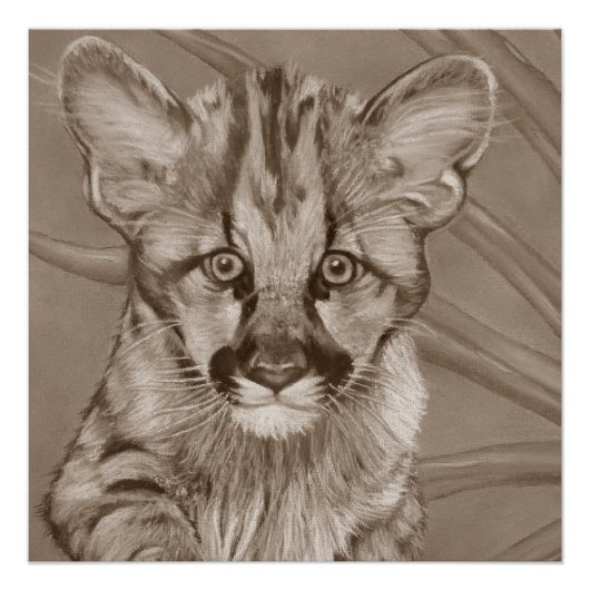 Poster peinture de la jolie cougar kitten gros chat faune (Devant)