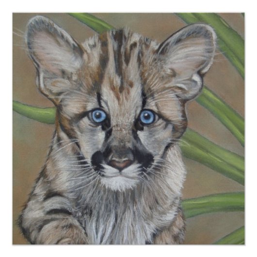 Poster peinture de la jolie cougar kitten gros chat faune (Devant)