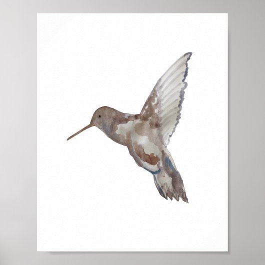 Poster Peinture de la nature des colibris (Devant)