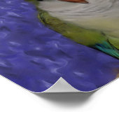 Poster Peinture de la paire de perroquets de bébé Quaker (Coin)