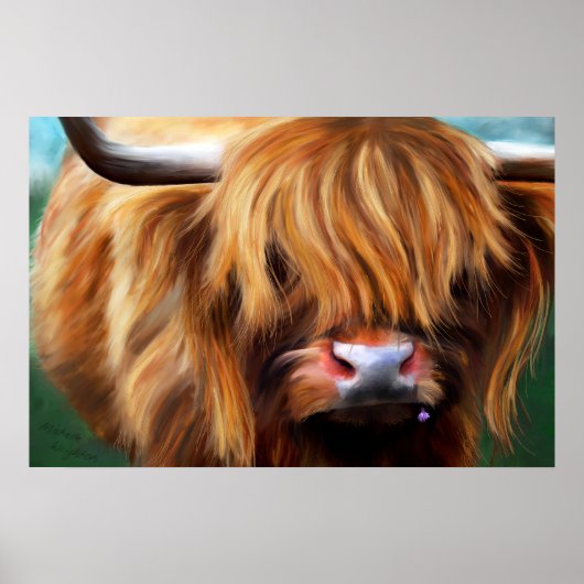 Poster Peinture de la vache des Highlands (Devant)