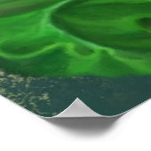 Poster Peinture de l'affiche de Calla Lily (Coin)