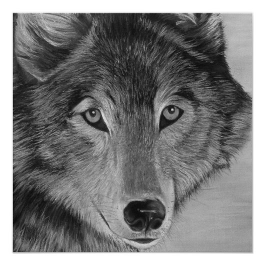 Poster peinture de loup gris en noir et blanc (Devant)