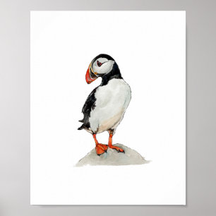 Poster Peinture de macareux au aquarelle