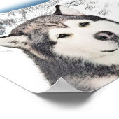 Poster Peinture de malamut en Alaska - jolie art original (Coin)