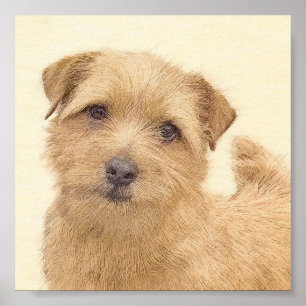 Poster Peinture de Norfolk Terrier - Art original de chie