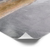 Poster Peinture de pic à ventre rouge Art original (Coin)