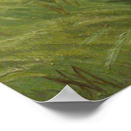 Poster Peinture de Red Deer (Coin)