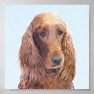 Poster Peinture de Setter irlandais - Joli art original d