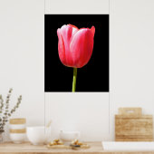 Poster Peinture de tulipe à tige unique spéciale (Cuisine)