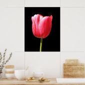 Poster Peinture de tulipe à tige unique spéciale (Cuisine)
