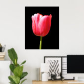 Poster Peinture de tulipe à tige unique spéciale (Bureau à domicile)