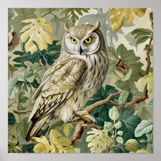 Poster Peinture décorative de hibou (Devant)
