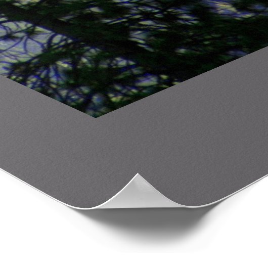 Poster Peinture Demi-Dôme (Coin)