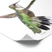 Poster Peinture des colibris de Berylline (Coin)