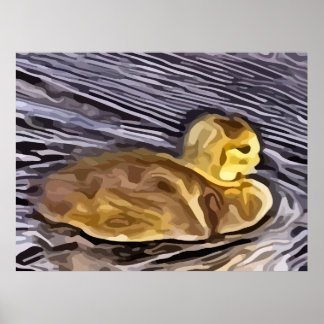 Poster peinture d'oie