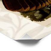 Poster Peinture d'oiseaux sauvages de Turquie Audubon (Coin)