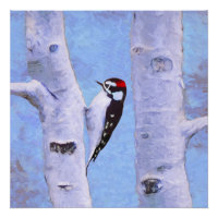 Peinture Downy Woodpecker - Art original pour oise