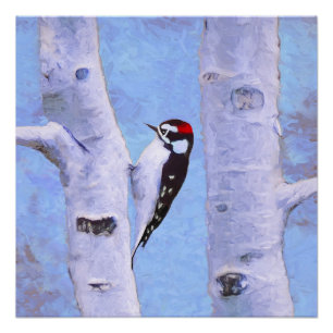 Poster Peinture Downy Woodpecker - Art original pour oise