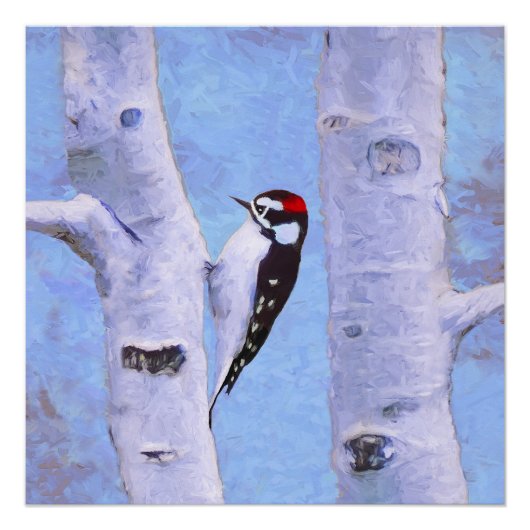 Poster Peinture Downy Woodpecker - Art original pour oise (Devant)