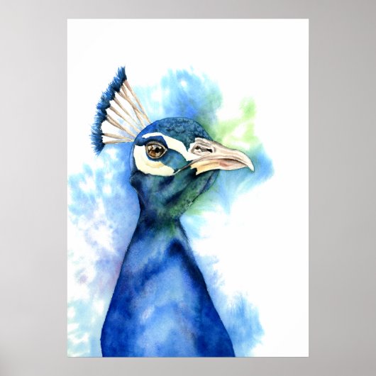 Poster Peinture Elégante Peacock Aquarelle (Devant)