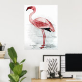 Poster Peinture en Flamant rose rose vintage (Bureau à domicile)