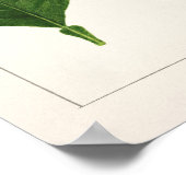 Poster Peinture Feuille orange (Poncirus Trifoliata) (Coin)