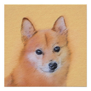 Poster Peinture finlandaise Spitz - Jote Original Chien A