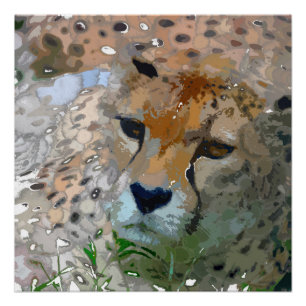 Poster Peinture folle - Cheetah