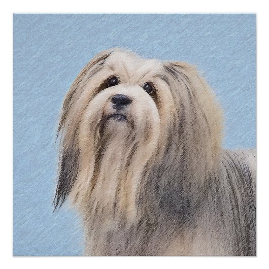 Poster Peinture Havanaise (Argent) - Cute Original Chien  (Devant)