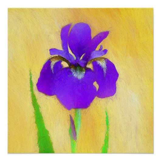 Poster Peinture Iris à pois pourpre - Chien original mign (Devant)